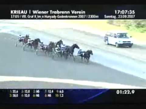 Graf Kalman Hunyady 2007 -Opal Viking