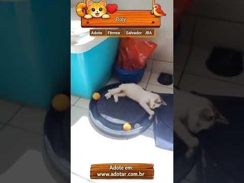 Vídeo de Roly