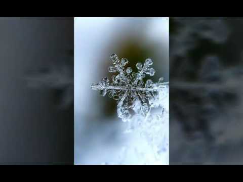 Aurora[Original song-Congfei Wei]