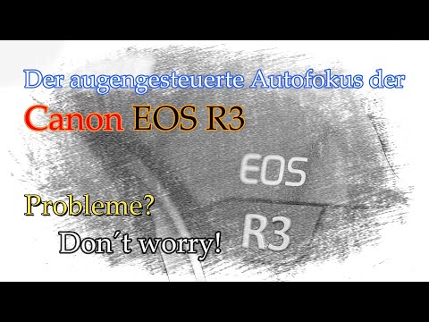 Der augengesteuerte Autofokus der Canon EOS R3: Probleme? Don´t worry!