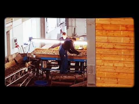 Kartoffeleinlagerung 2019 mit Euro Jabelmann Sturzbunker, Verlesetisch und Grimme Sl 716 und Tc 816