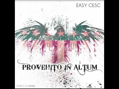 EASY CESC - 11.LA VOCE DEL BAMBINO