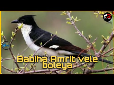 ਬੰਬੀਹਾ ਅਮ੍ਰਿਤ ਵੇਲੇ ਬੋਲੀਆਂ | Bambiha Amrit Vele Boleya | Bhai Joginder Singh ji #RAMGARHIA LYRICS |