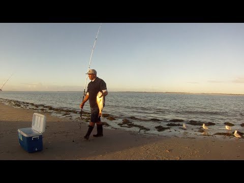 Surfcasting the far North