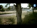 Matias Damásio - Papa Matias Damásio - Papa