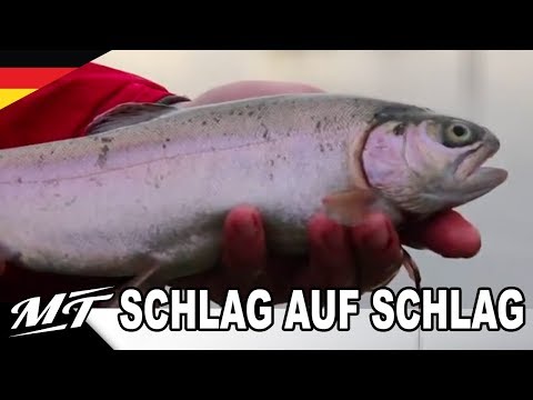 Angeln am Forellensee - einfach erklärt. 5 Methoden - 5 Forellen mit Fabian Frenzel - Magic Trout