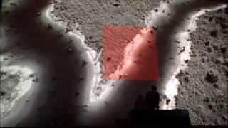 Loscil - Live at The Ace Hotel Theater, Night On Broadway 1/28/2017