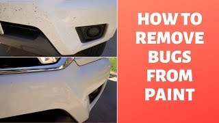 HOW TO REMOVE BUGS FROM CAR PAINT