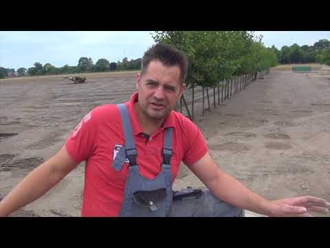 Milbenbekämpfung mit Cumbasil® Mite im Betrieb Beke-Bramkamp