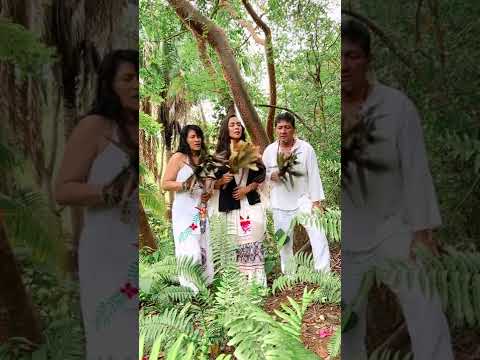 Picaflorcita Icaro - Daniela Riojas - Original by Maestra Herlinda Augustine