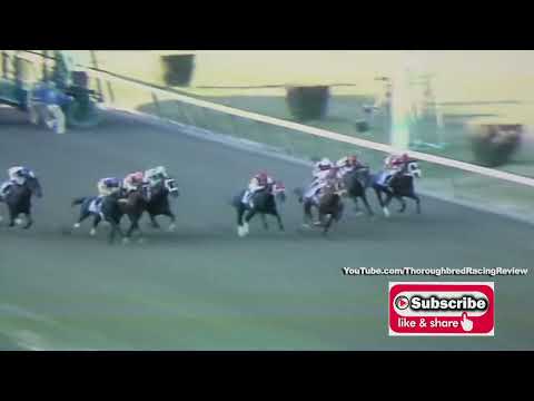 1987 FLORIDA DERBY Clearance to Kentucky