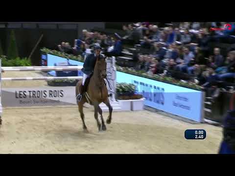 Conthargos Hengstkollektion Englisch 2019