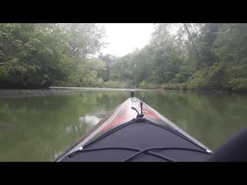 Downstream kayaking "Buzzard Roost Creek," AL