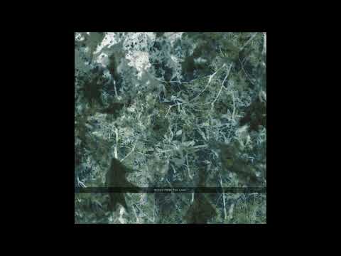 Voices From The Lake - 01.12 N. [SPAZIO025]