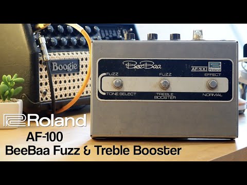 Roland BeeBaa AF-100 image 3