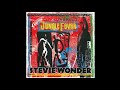 If She Breaks Your Heart - Stevie Wonder