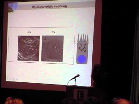 2012 CRF Conference: Dr. Viki Kalatzis, pt. 3