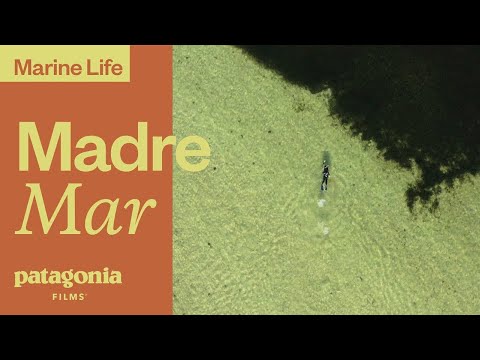 파타고니아 필름｜Madre Mar 풀버전 공개 예고편