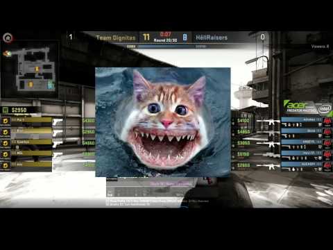 Hilarious Announcer Hell Raisers vs Team Dignitas Acer Predator Game 2