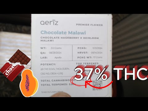 Chocolate Malawi Strain Review | Aeriz #firsttry #strainreviews #aeriz