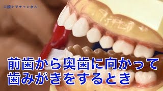 再確認！　歯みがきは奥から手前に