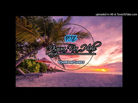PITZ- Nigua Na Hahi [GTunez Recordz]