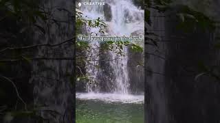 Download lagu Berhenti Sejenak, Bernapas, dan Atur Ulang Diri 🌿✨ | Ketenangan Air Terjun Murni mp3