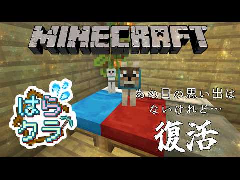 【マイクラ/Minecraft】はらクラ鯖🔨荒らしに鯖破壊されたけど復興犬探し🐥【白暈ハロ】