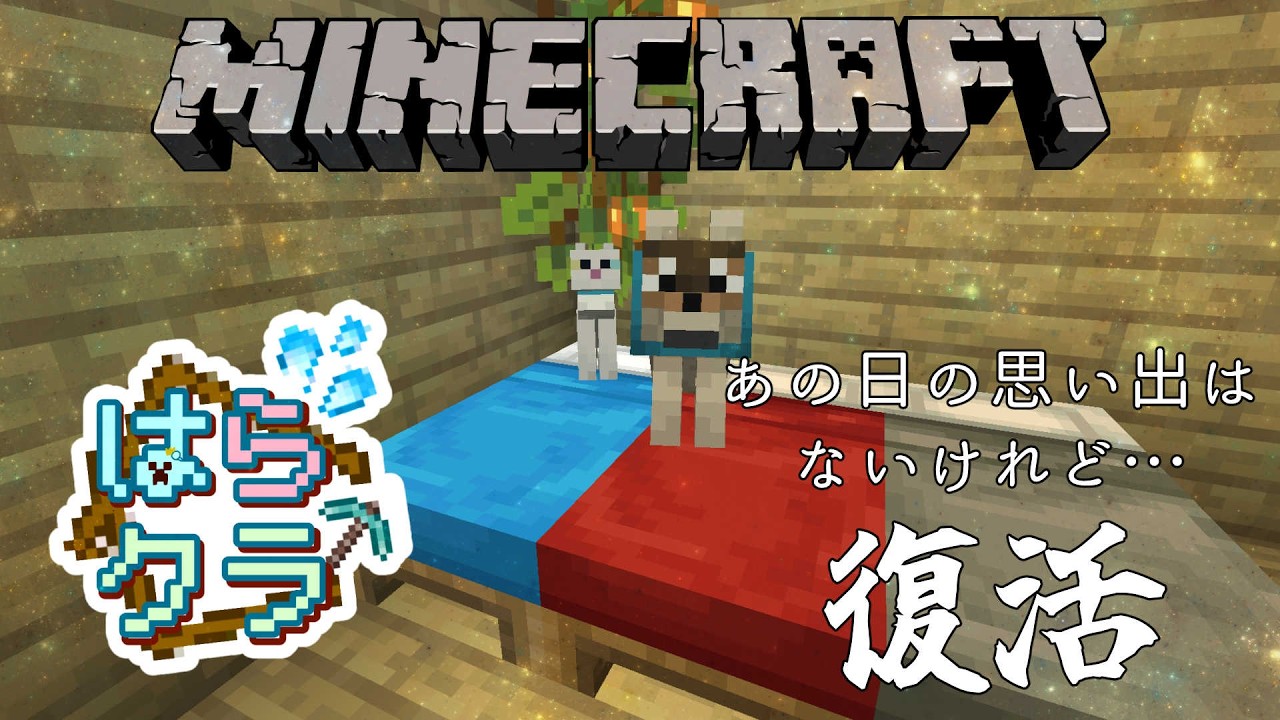 【マイクラ/Minecraft】はらクラ鯖🔨荒らしに鯖破壊されたけど復興犬探し🐥【白暈ハロ】