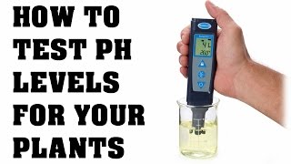 How To Use A PH Tester and Calibration - Testing PH In Your Water