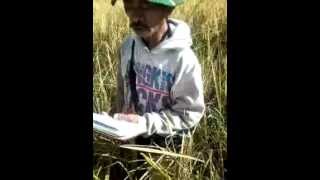 Download lagu ARTIS RAMPI TEDEBOE mp3