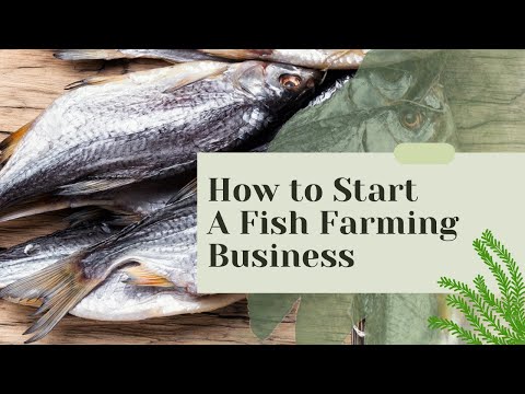 , title : 'How To Start A Fish Farming Business In Nigeria'