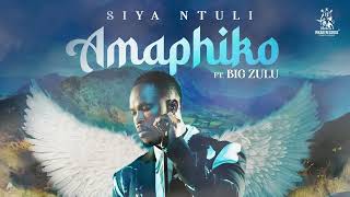 Download lagu Siya Ntuli (Ft. Big Zulu) - Amaphiko [ Audio] mp3