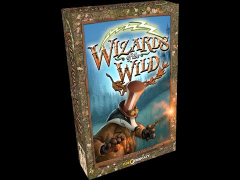 Undead Viking Review of Wizards of the Wild