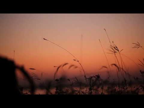 Piano Accompaniment: LORD, I STRETCH MY HANDS TO YOU by Jay Althouse