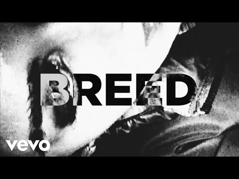 Toronto Is Broken - Breed (feat. REEBZ) [Official Music Video]