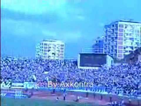 grobari na finalu kupa 2008.