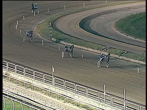 Trotto 12/08/2017 - 2ª prova di qualifica