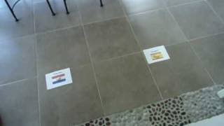 Pronostic de Maniche le caniche World Cup 2010 Pays bas espagne.wmv