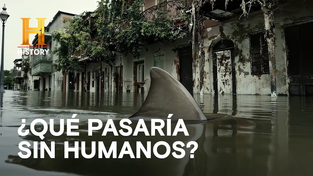 Inundación total: El destino inevitable de Nueva Orleans - LA TIERRA SIN HUMANOS