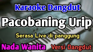 Download lagu PACOBANING URIP - KARAOKE || NADA WANITA CEWEK || Versi Dangdut || Silvy Kumalasari mp3