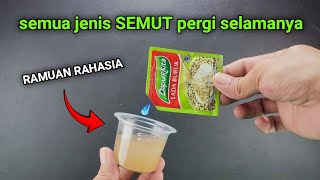 Download lagu Ternyata cuma pake RAMUAN ini semut pergi selamanya !!! mp3