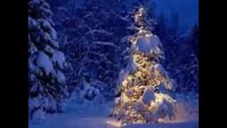 Andrea Bocelli  -  O Tannenbaum - O Christmas Tree -  Oh albero
