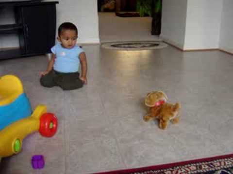 Pranith Playing with toy dog - www.ourpranith.com