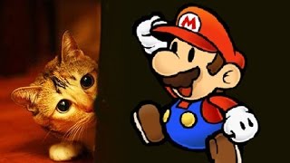 064 MARIO FAIT PEUR AUX CHATS