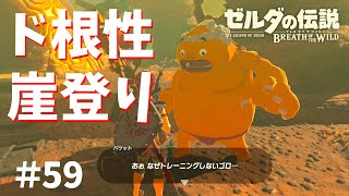スタミナないけど「ド根性ガケ」クリアできた！【ゼルダの伝説ブレスオブザワイルド女性実況】～今日もゼルダを救えない#59