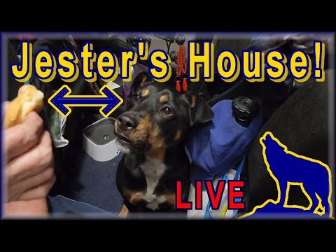 Jester's House LIVE 2-27-2023