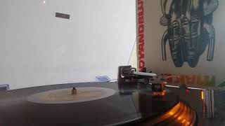 Ziggy Marley-Brothers And Sisters