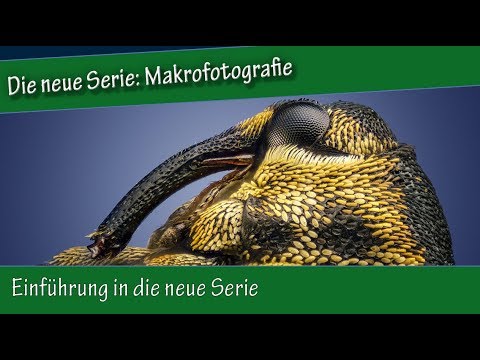 Makrofotografie: 1. Einführung