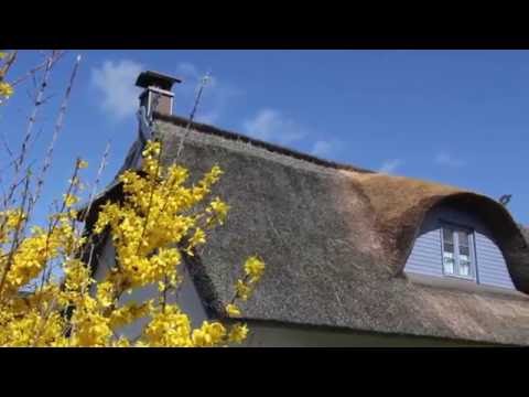 Ferienhaus Ostsee Captains Hus Insel Poel